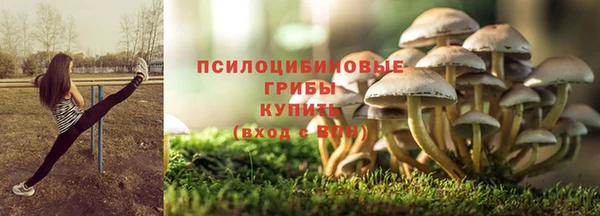 дурь Алексин