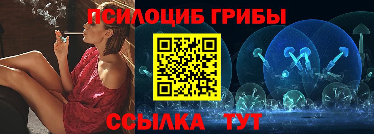 Солнечногорск  Галлюциногенные грибы прущие грибы  Вход с VPN  Галлюциногенные грибы прущие грибы 