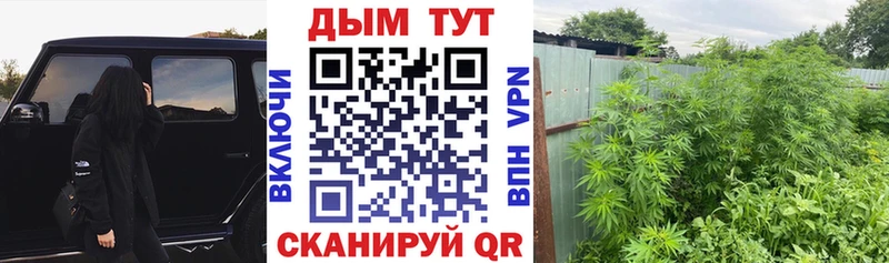 наркошоп  Солнечногорск  Конопля индика 